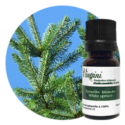 White spruce essential oil